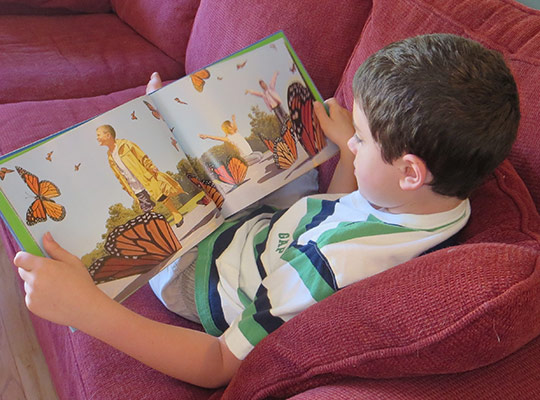 Wordless Picture Books - All About Reading