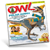 OWL Magazine Cover