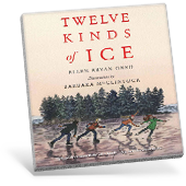 Twelve Kinds of Ice book cover