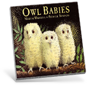 Owl Babies book cover