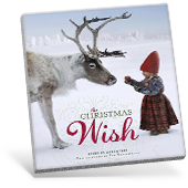 The Christmas Wish book cover