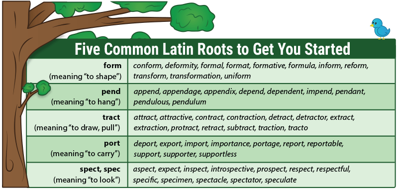 Teaching Latin Roots with Word Trees - from All About Learning Press