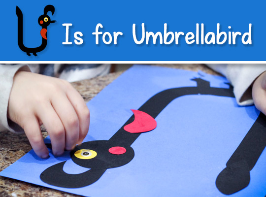U Is for Umbrellabird title graphic