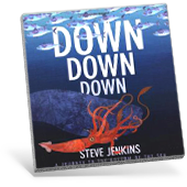 Down Down Down  book cover