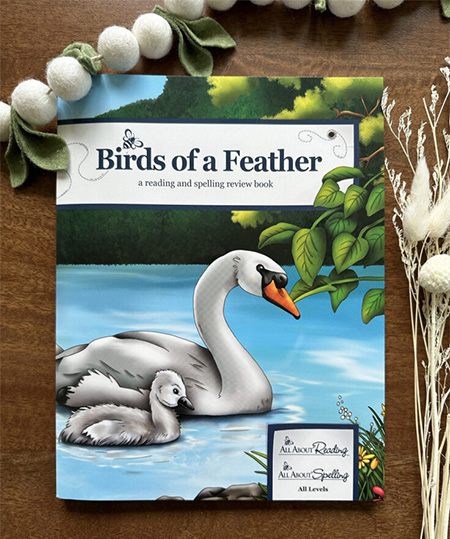 Birds of a Feather reading and spelling review book cover
