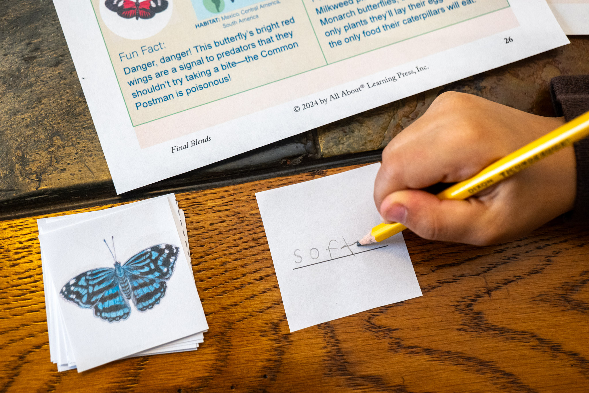 Learn With Butterflies activity from All About Learning Press