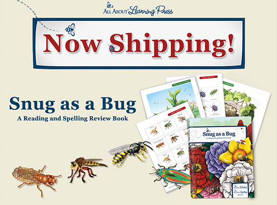 Now shipping: "Snug as a Bug," a reading and spelling review book!