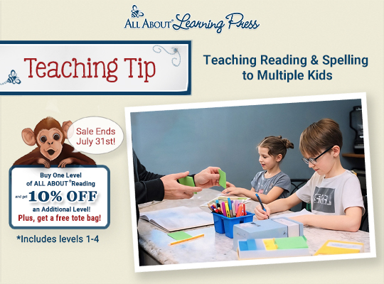 Tips for Teaching Reading and Spelling to Multiple Kids