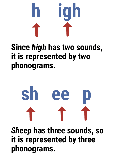 Examples of breaking down words into phonograms